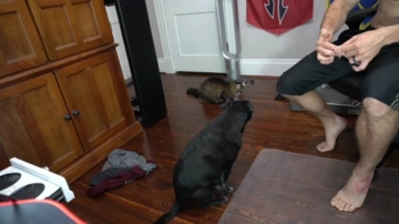 Sydaffect  02-08-2021 video Horny